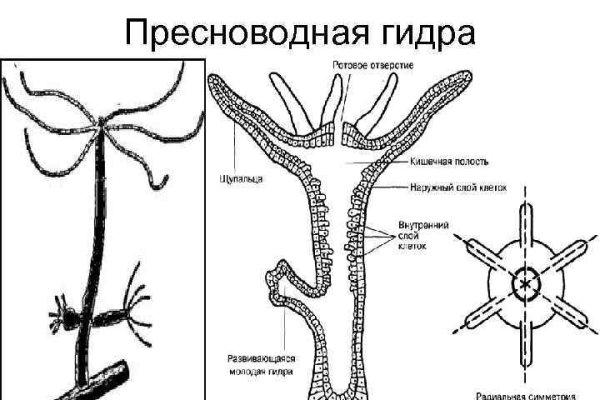 Аккаунты кракен