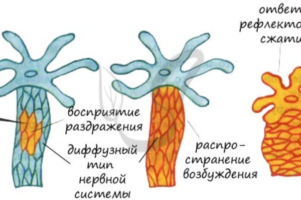 Кракен вход зеркало