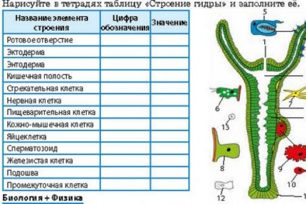 Что за приложение кракен